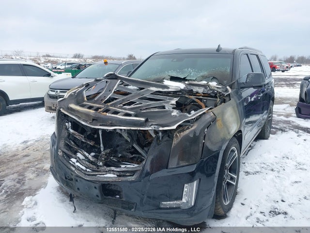 Cadillac Escalade 2016 1GYS4DKJ4GR272657 Image 6