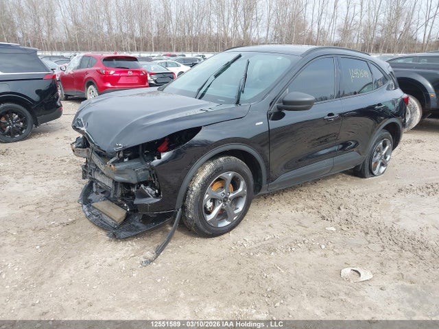 Продаж на аукціоні авто 2025 Ford Escape St Line, vin: 1FMCU9MN1SUA39182, номер лоту: 12551589