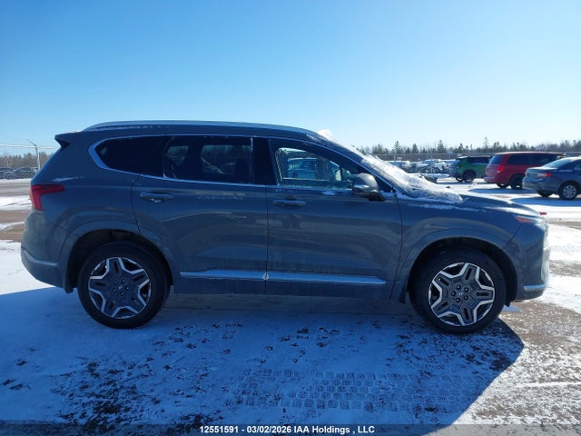 Продаж на аукціоні авто 2021 Hyundai Santa Fe Calligraphy, vin: 5NMS5DAL6MH320908, номер лоту: 12551591