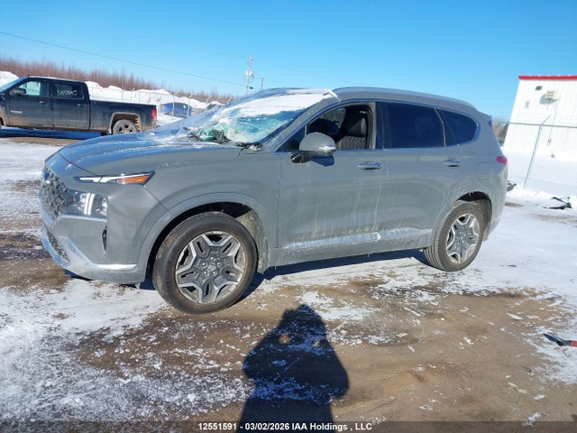 Продаж на аукціоні авто 2021 Hyundai Santa Fe Calligraphy, vin: 5NMS5DAL6MH320908, номер лоту: 12551591