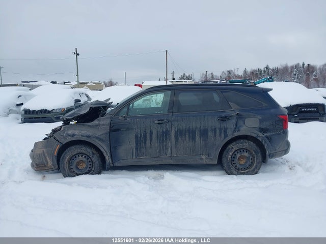 Aukcja sprzedaży 2023 Kia Sorento Sx/sxp, vin: 5XYRKDLF4PG193086, numer aukcji: 12551601