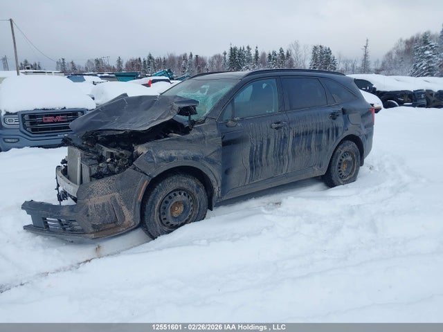 Aukcja sprzedaży 2023 Kia Sorento Sx/sxp, vin: 5XYRKDLF4PG193086, numer aukcji: 12551601
