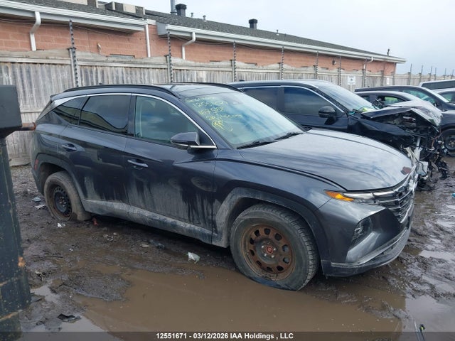 12551671 :رقم المزاد ، KM8JCCD12RU167588 vin ، 2024 Hyundai Tucson Luxury Awd مزاد بيع