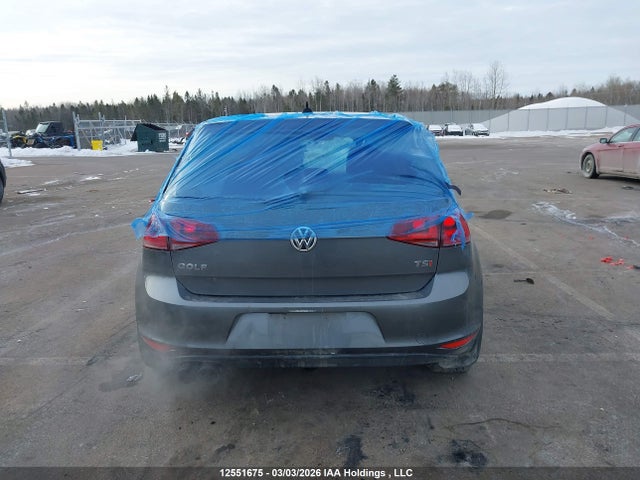 3VW117AU9FM073690 Volkswagen Golf