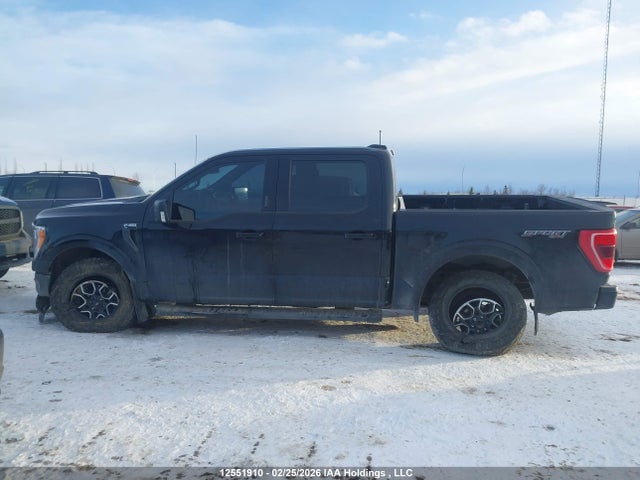 1FTEW1EP6MKE09663 Ford F-150 Xlt