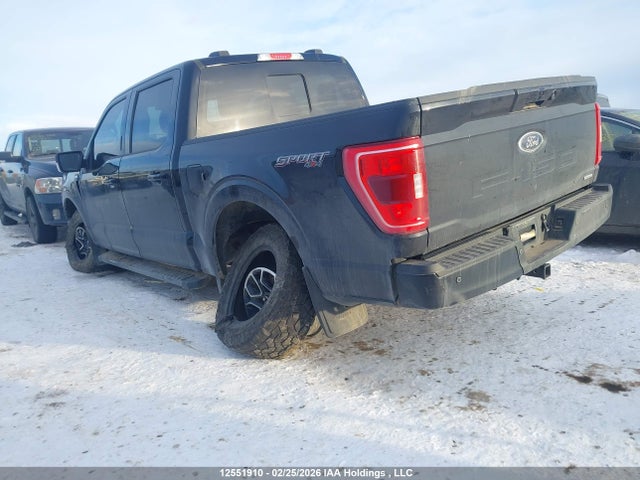 1FTEW1EP6MKE09663 Ford F-150 Xlt