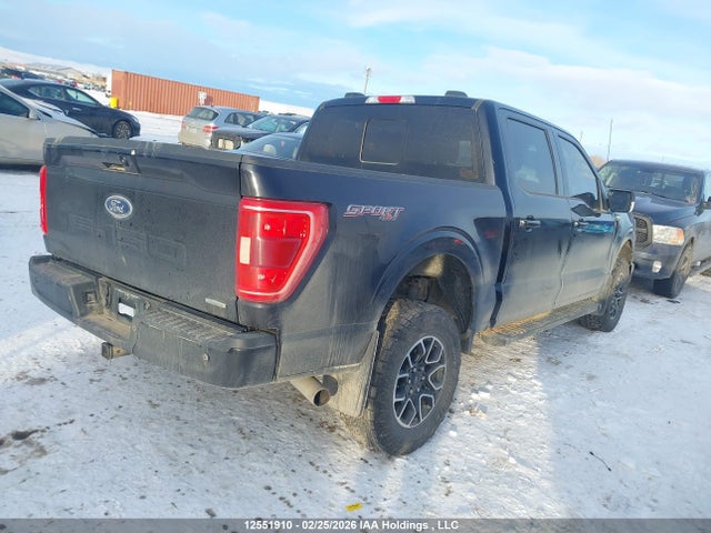1FTEW1EP6MKE09663 Ford F-150 Xlt