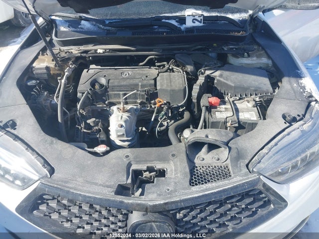 19UUB1F64KA800988 Acura TLX