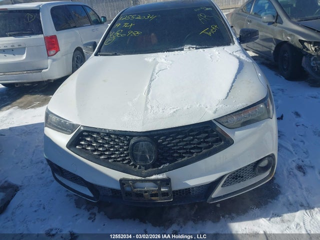 19UUB1F64KA800988 Acura TLX