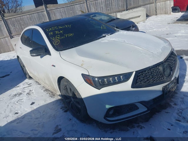 19UUB1F64KA800988 Acura TLX