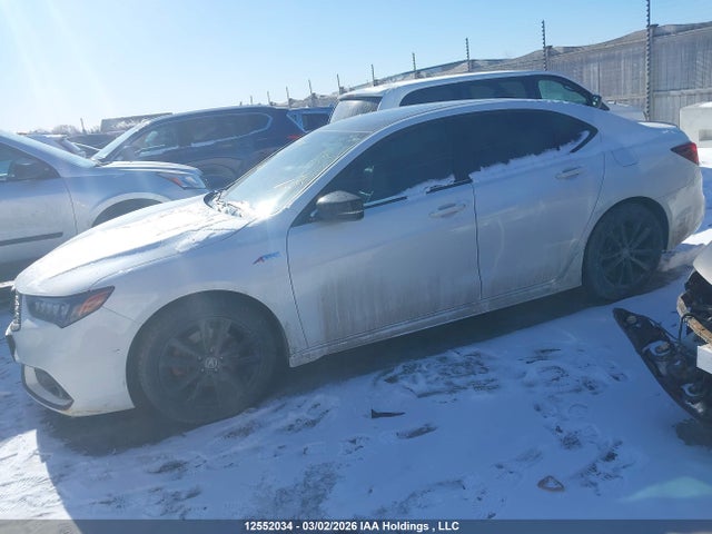 19UUB1F64KA800988 Acura TLX