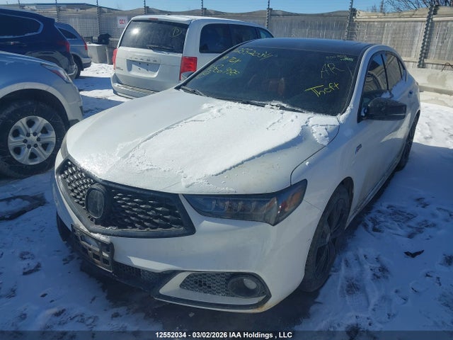 19UUB1F64KA800988 Acura TLX