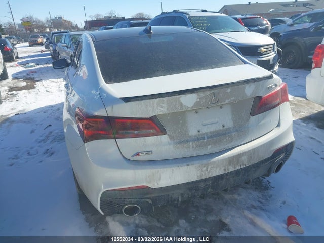 19UUB1F64KA800988 Acura TLX