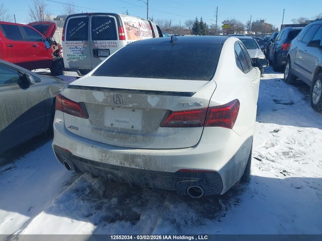 19UUB1F64KA800988 Acura TLX