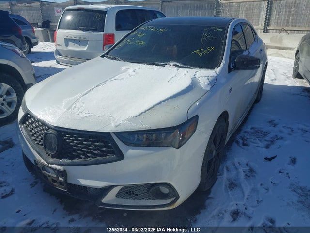 19UUB1F64KA800988 Acura TLX