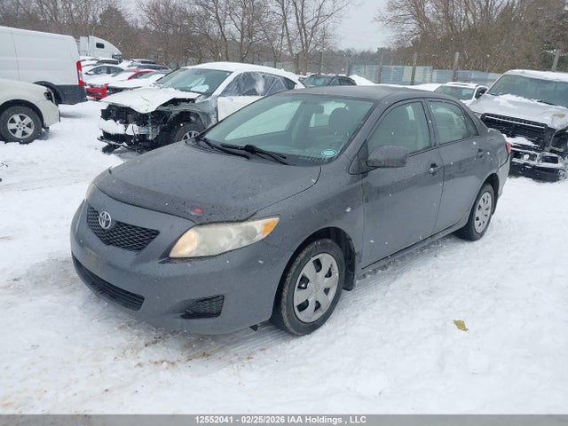 12552041 :رقم المزاد ، 2T1BU4EE5AC261284 vin ، 2010 Toyota Corolla S/le/xle مزاد بيع