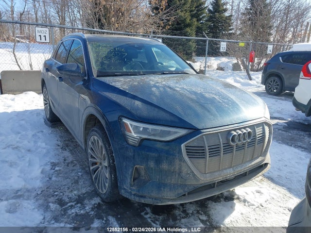 WA1VAAGE7KB016627 Audi E-tron 55 Technik