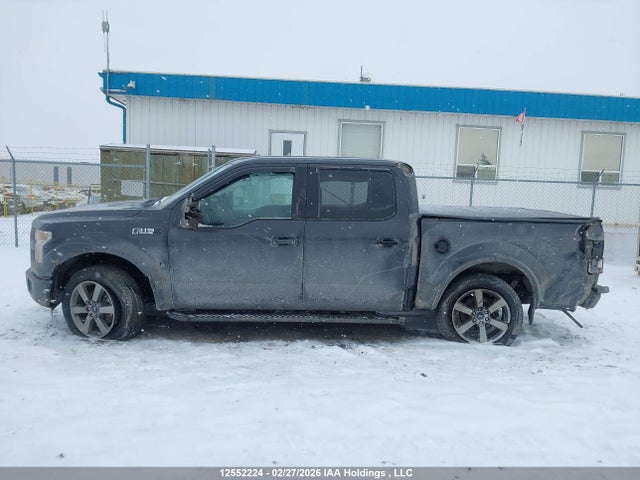 Ford F150 Supercrew 2016 1FTEW1EF2GKF14213 Image 15