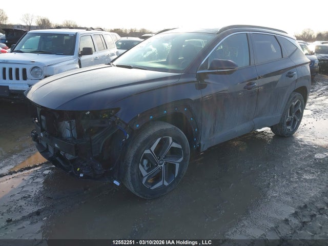KM8JCCD1XRU196059 Hyundai Tucson Luxury Awd