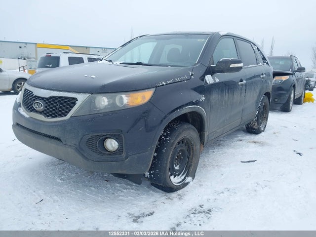 Продаж на аукціоні авто 2011 Kia Sorento Lx, vin: 5XYKT3A12BG185836, номер лоту: 12552331
