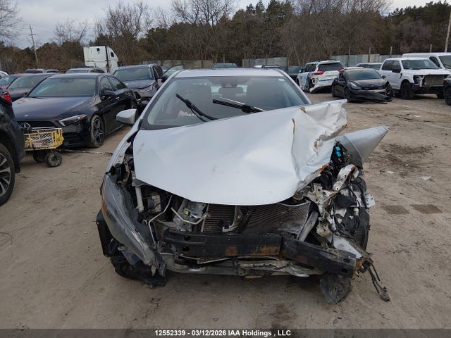 2T1BURHE9JC087731 Toyota Corolla L/le/xle/se/xse