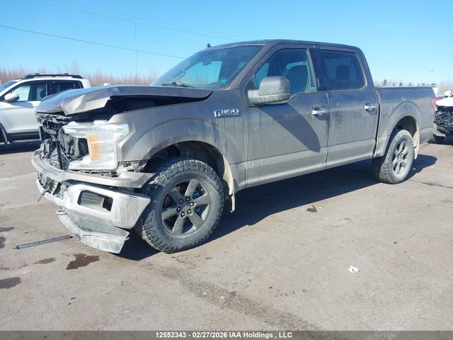 Ford F150 Supercrew 2019 1FTEW1E49KFA69789 Image 2