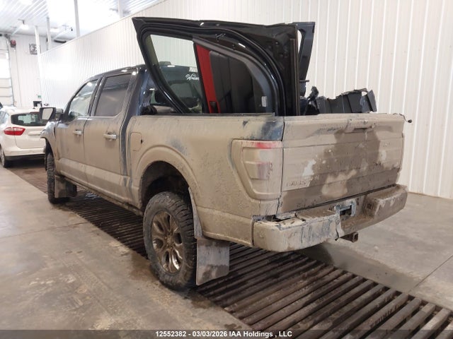 Продажа на аукционе авто 2023 Ford F-150 Platinum, vin: 1FTFW1E89PFC30656, номер лота: 12552382
