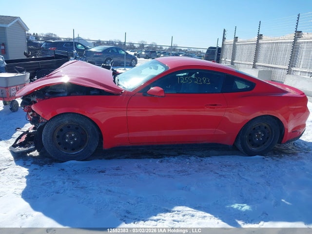 Продажа на аукционе авто 2019 Ford Mustang, vin: 1FA6P8THXK5188902, номер лота: 12552383
