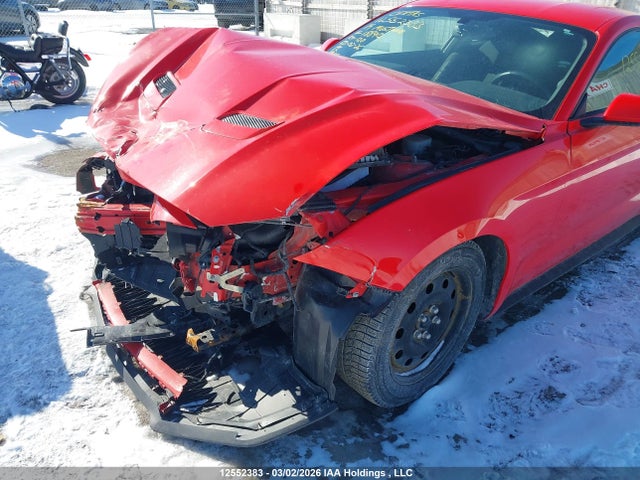 Продажа на аукционе авто 2019 Ford Mustang, vin: 1FA6P8THXK5188902, номер лота: 12552383