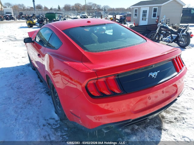 Продажа на аукционе авто 2019 Ford Mustang, vin: 1FA6P8THXK5188902, номер лота: 12552383