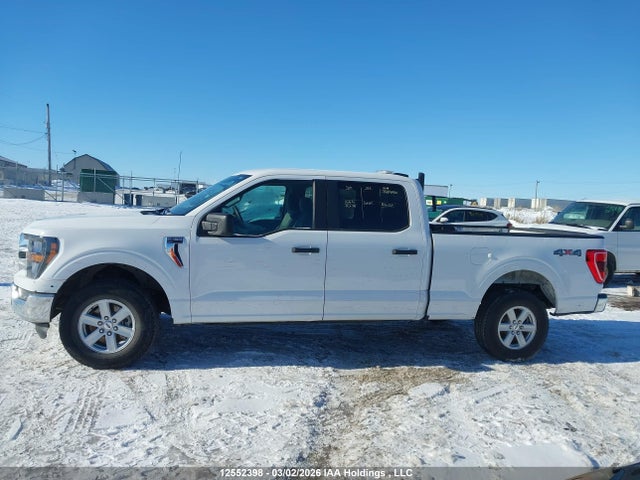 Продаж на аукціоні авто 2023 Ford F150 Supercrew, vin: 1FTFW1E53PKD75950, номер лоту: 12552398