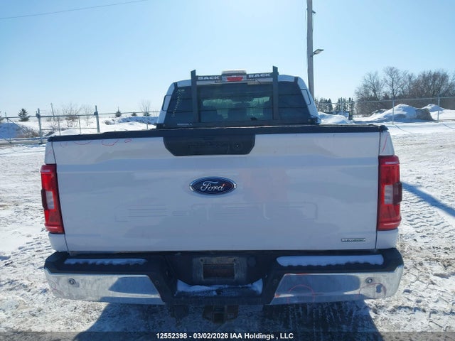 Продаж на аукціоні авто 2023 Ford F150 Supercrew, vin: 1FTFW1E53PKD75950, номер лоту: 12552398