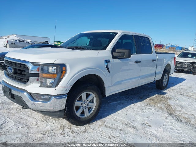 Продаж на аукціоні авто 2023 Ford F150 Supercrew, vin: 1FTFW1E53PKD75950, номер лоту: 12552398