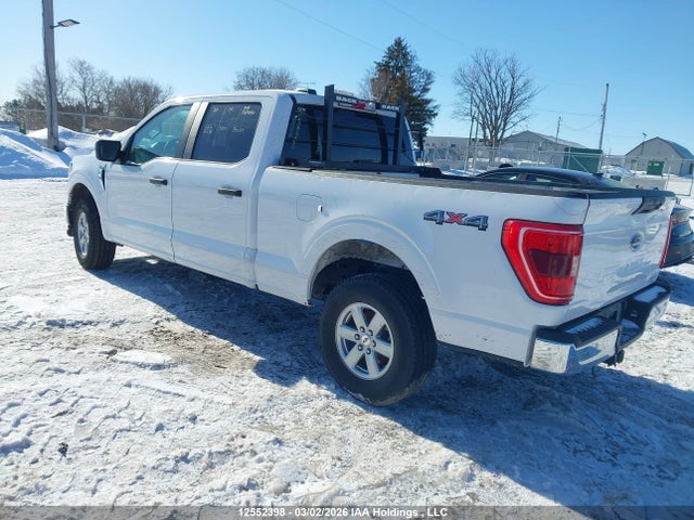 Продаж на аукціоні авто 2023 Ford F150 Supercrew, vin: 1FTFW1E53PKD75950, номер лоту: 12552398