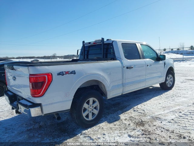 Продаж на аукціоні авто 2023 Ford F150 Supercrew, vin: 1FTFW1E53PKD75950, номер лоту: 12552398