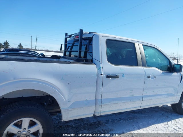 Продаж на аукціоні авто 2023 Ford F150 Supercrew, vin: 1FTFW1E53PKD75950, номер лоту: 12552398
