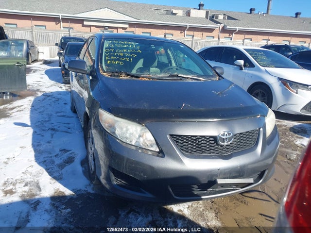 2009 Toyota Corolla Ce მანქანა იყიდება აუქციონზე, vin: 2T1BU40E59C178747, აუქციონის ნომერი: 12552473