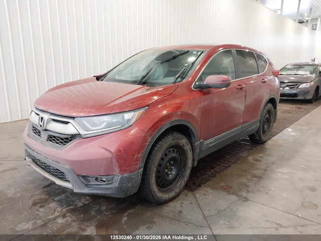 2HKRW2H85KH118823 Honda Cr-v Ex-l