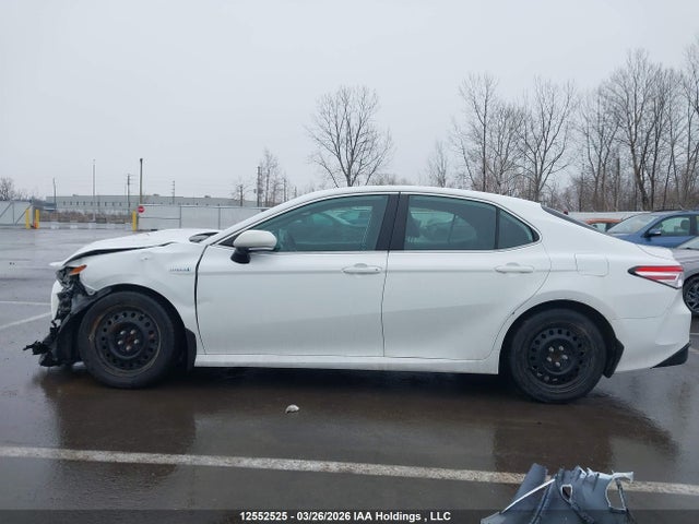 4T1C31AK4MU021745 Toyota Camry Hybrid Le
