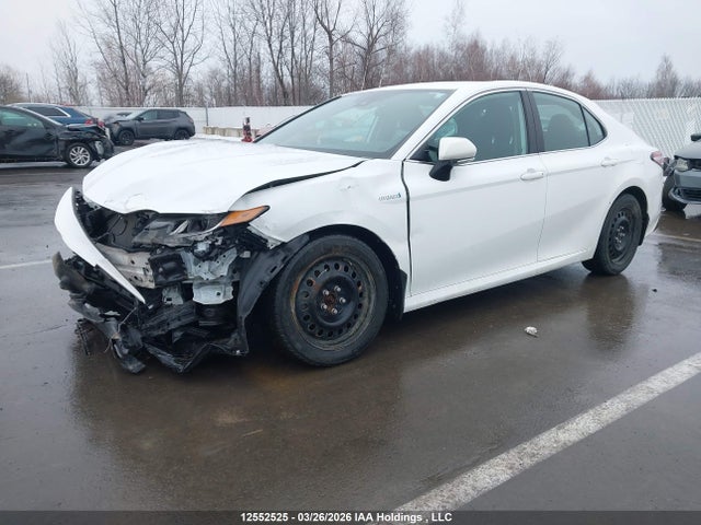 4T1C31AK4MU021745 Toyota Camry Hybrid Le