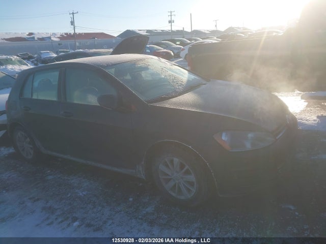3VW217AU0HM001011 Volkswagen Golf 1.8 Tsi Comfortline/1.8 Tsi Highline/1.8 Tsi Trendline