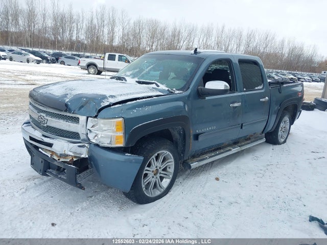 Продаж на аукціоні авто 2010 Chevrolet Silverado 1500 Ls, vin: 3GCRKREA7AG260402, номер лоту: 12552603