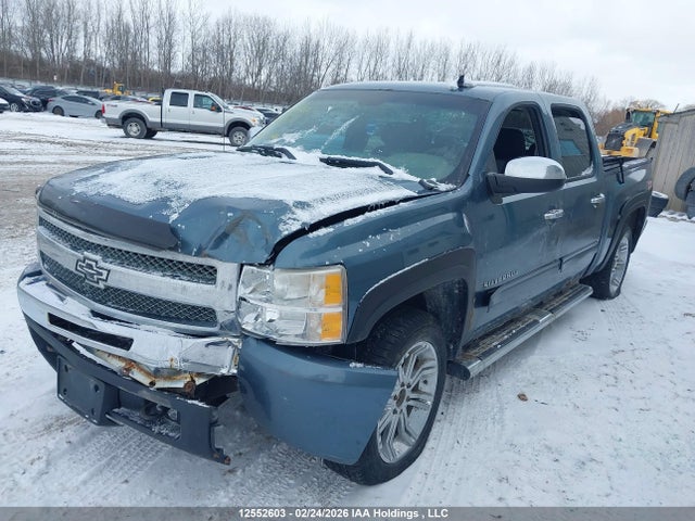 Продаж на аукціоні авто 2010 Chevrolet Silverado 1500 Ls, vin: 3GCRKREA7AG260402, номер лоту: 12552603