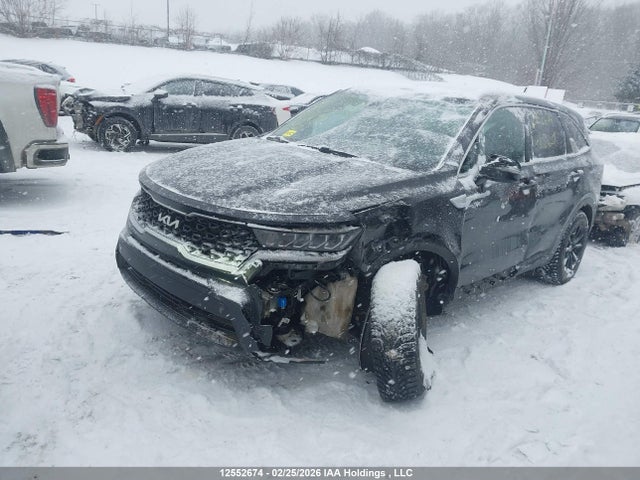 Aukcja sprzedaży 2023 Kia Sorento Lx, vin: 5XYRGDLC7PG162339, numer aukcji: 12552674
