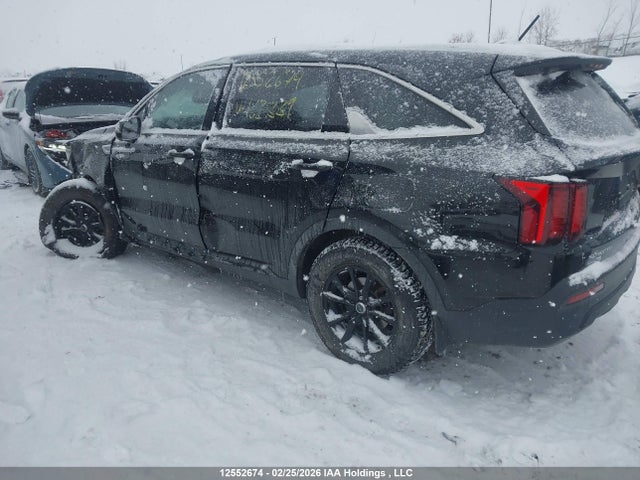 Aukcja sprzedaży 2023 Kia Sorento Lx, vin: 5XYRGDLC7PG162339, numer aukcji: 12552674