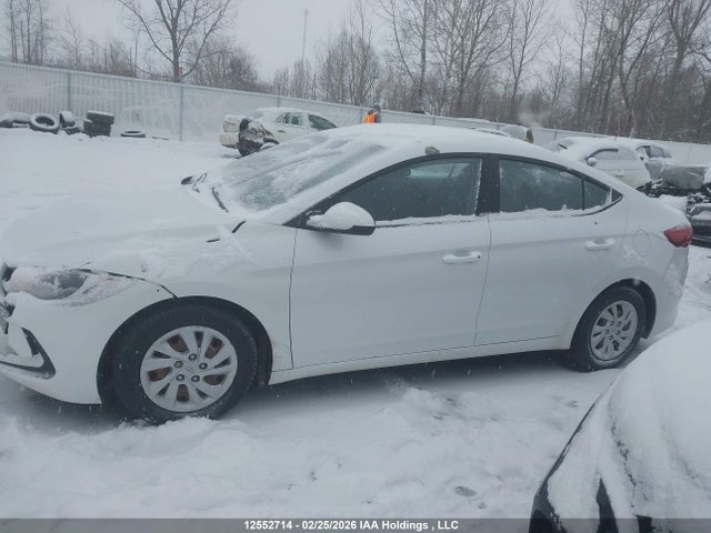 5NPD74LF7HH149928 Hyundai Elantra