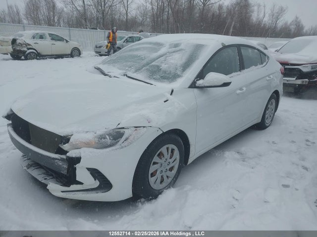 5NPD74LF7HH149928 Hyundai Elantra