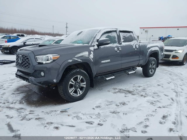5TFDZ5BN5MX058826 Toyota Tacoma