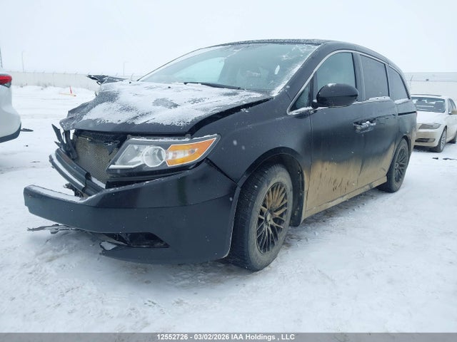 5FNRL5H62EB511822 Honda Odyssey Ex-l