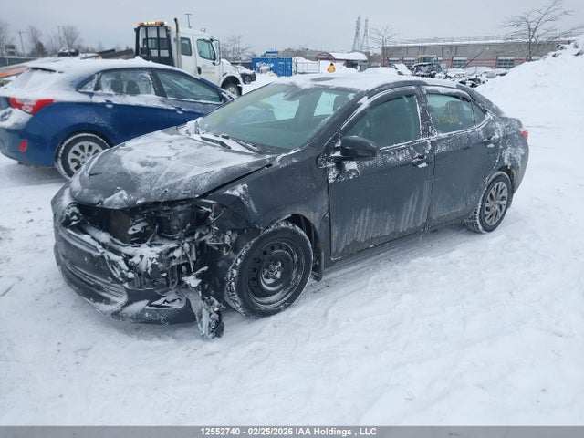 2T1BURHE1HC954260 Toyota COROLLA LE